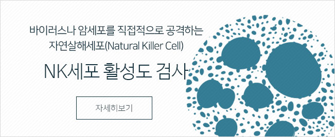 바이러스나 암세포를 직접적으로 공격하는 자연살해세포(Natural Killer Cell)