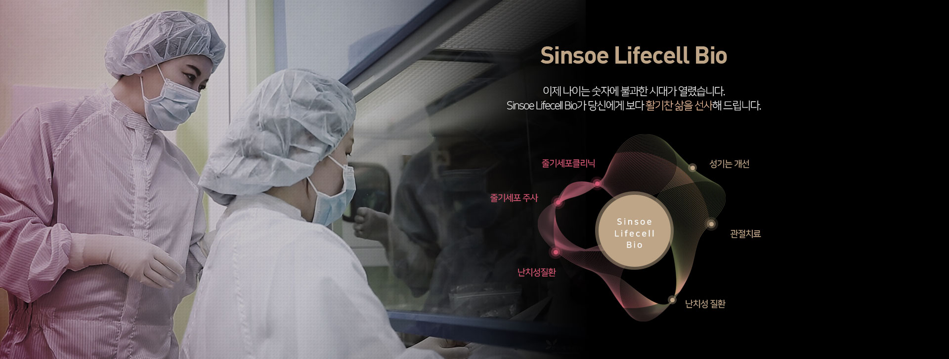 이제 나이는 숫자에 불과한 시대가 열렸습니다. Sinsoe Lifecell Bio가 당신에게 보다 활기찬 삶을 선
